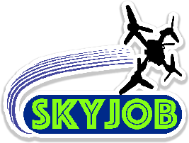 スカイジョブ